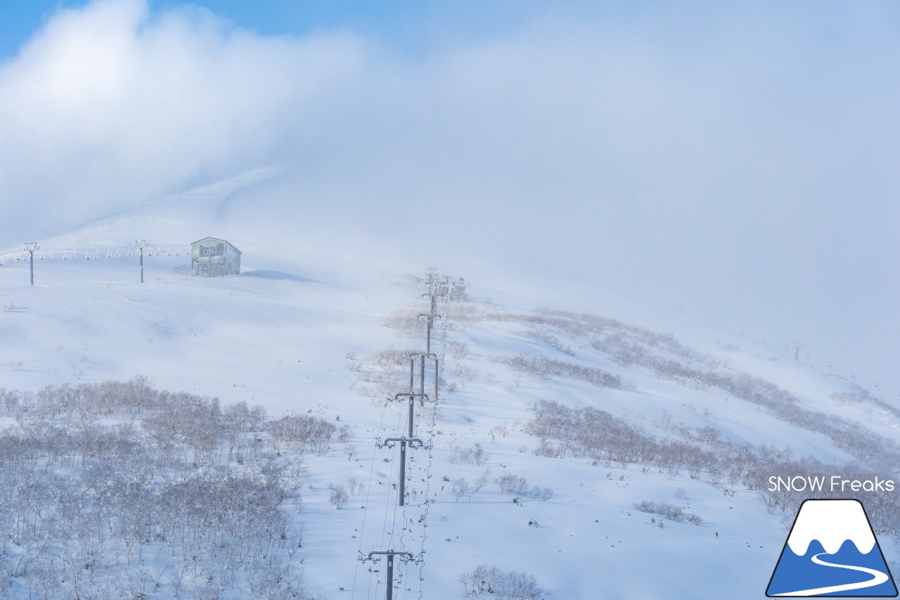 ニセコビレッジ｜Xmasと年末年始に間に合った！山頂気温「-18℃」。待望の寒波でパウダーシーズン到来(^^)/